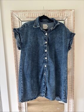 Sleeveless Denim Button-Front Shirt Dress - Blue